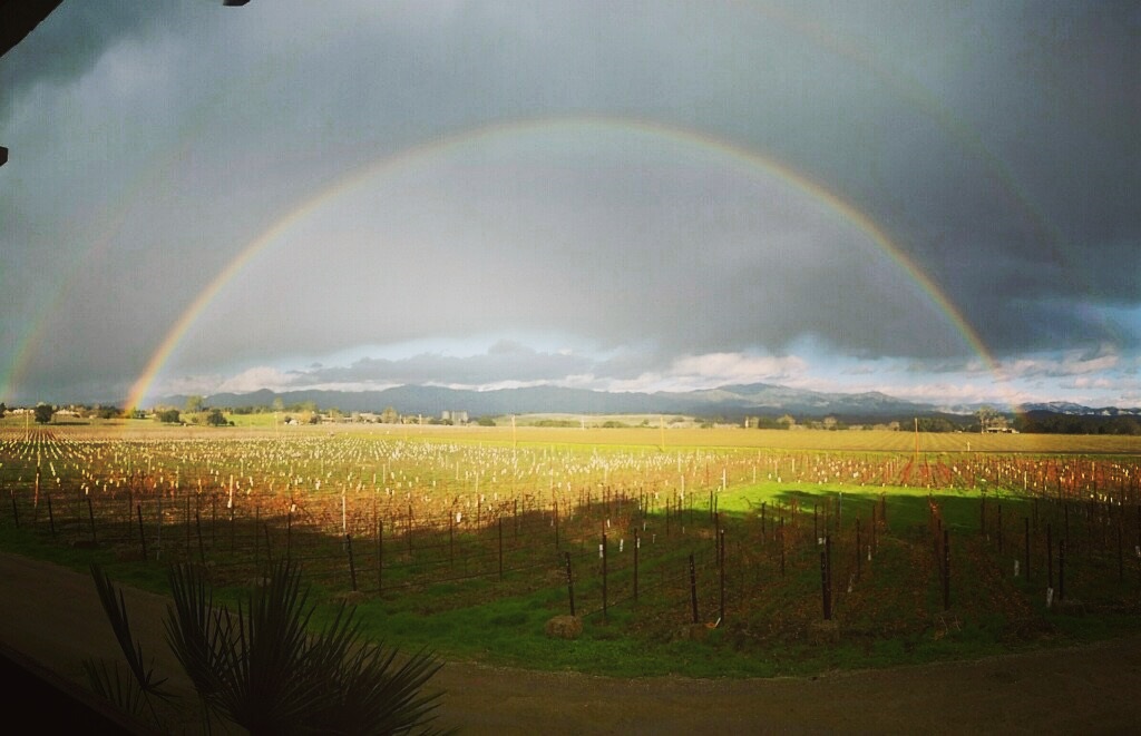Vineyard Rainbow at Kalyra Winery